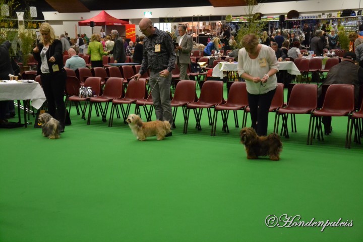 Chanty 1e plaats jeugdklasse show Arnhem