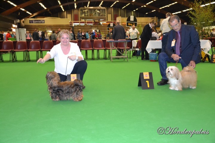 Chanty 2e plaats BOB verkiezing Arnhem