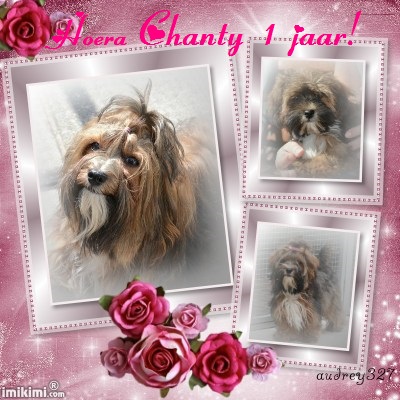 Chanty 1 jaar