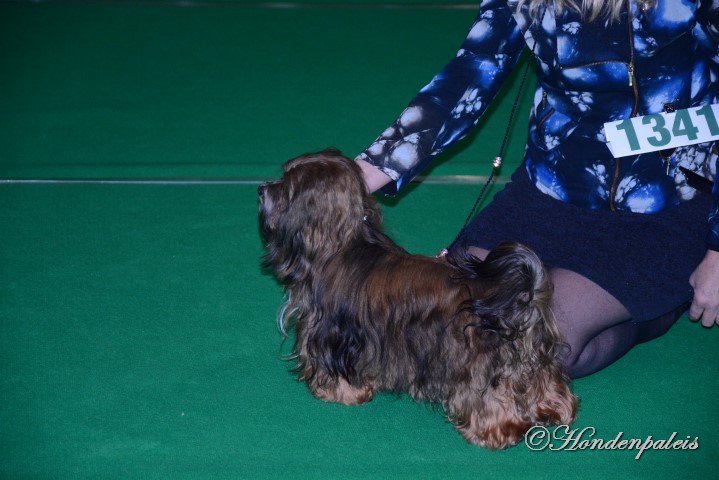 Chanty Maastricht Dogshow