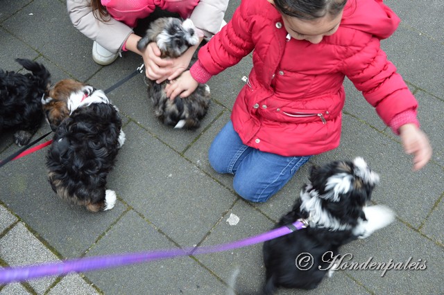 socialiseren schoolplein