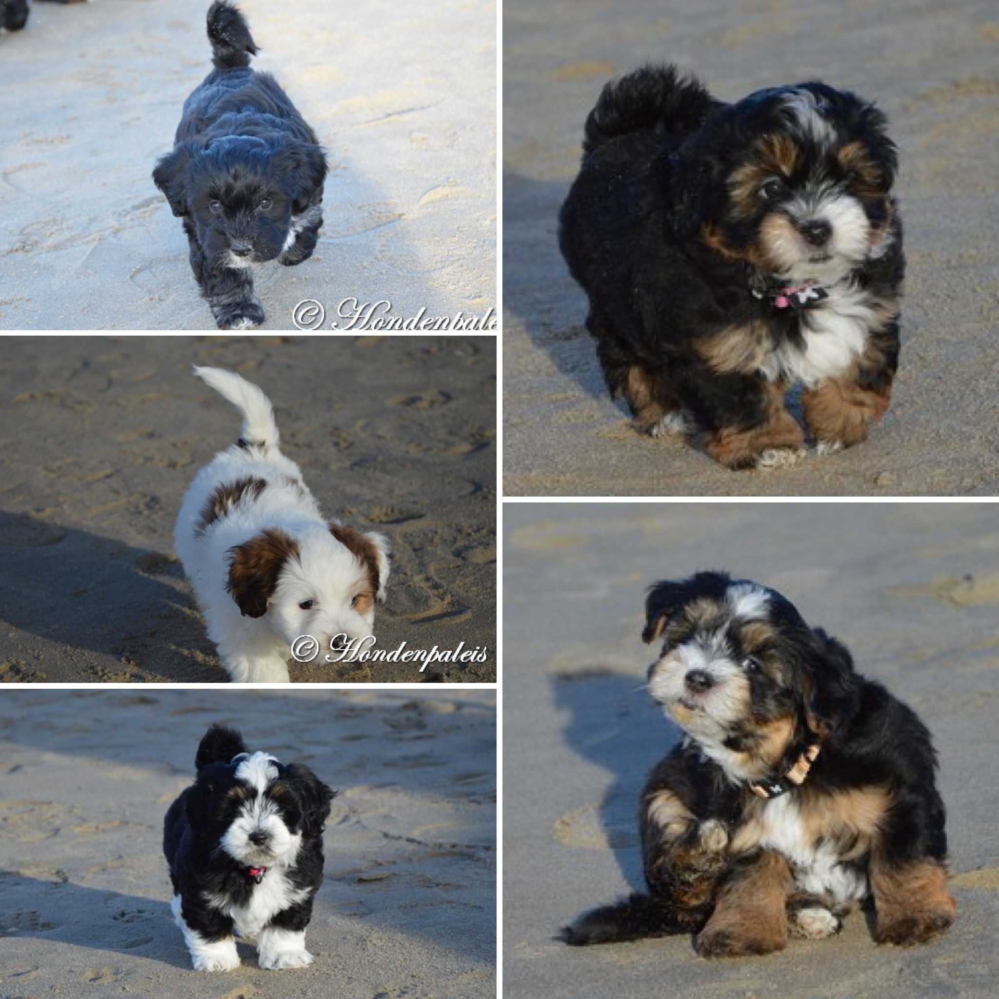 op het strand