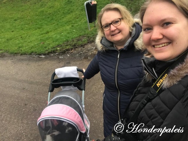 in de buggy naar het park