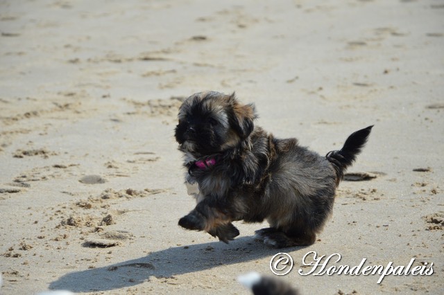 Jentl eerste keer strand