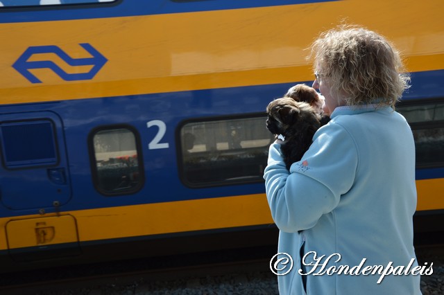 op het station