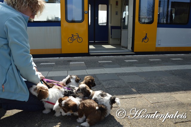 op het station