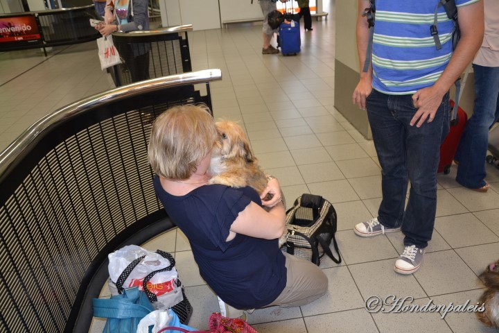 Eerste ontmoeting op Schiphol met Kensho