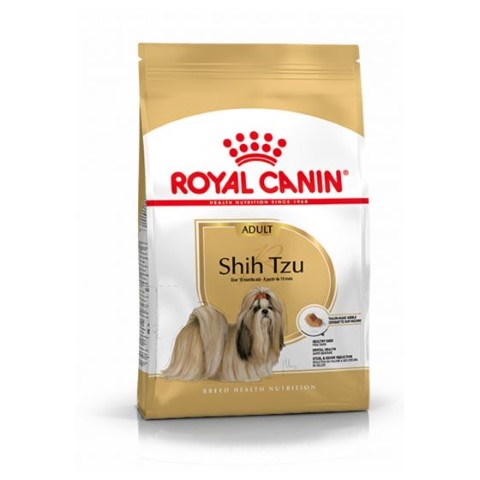 Shi Tzu adult